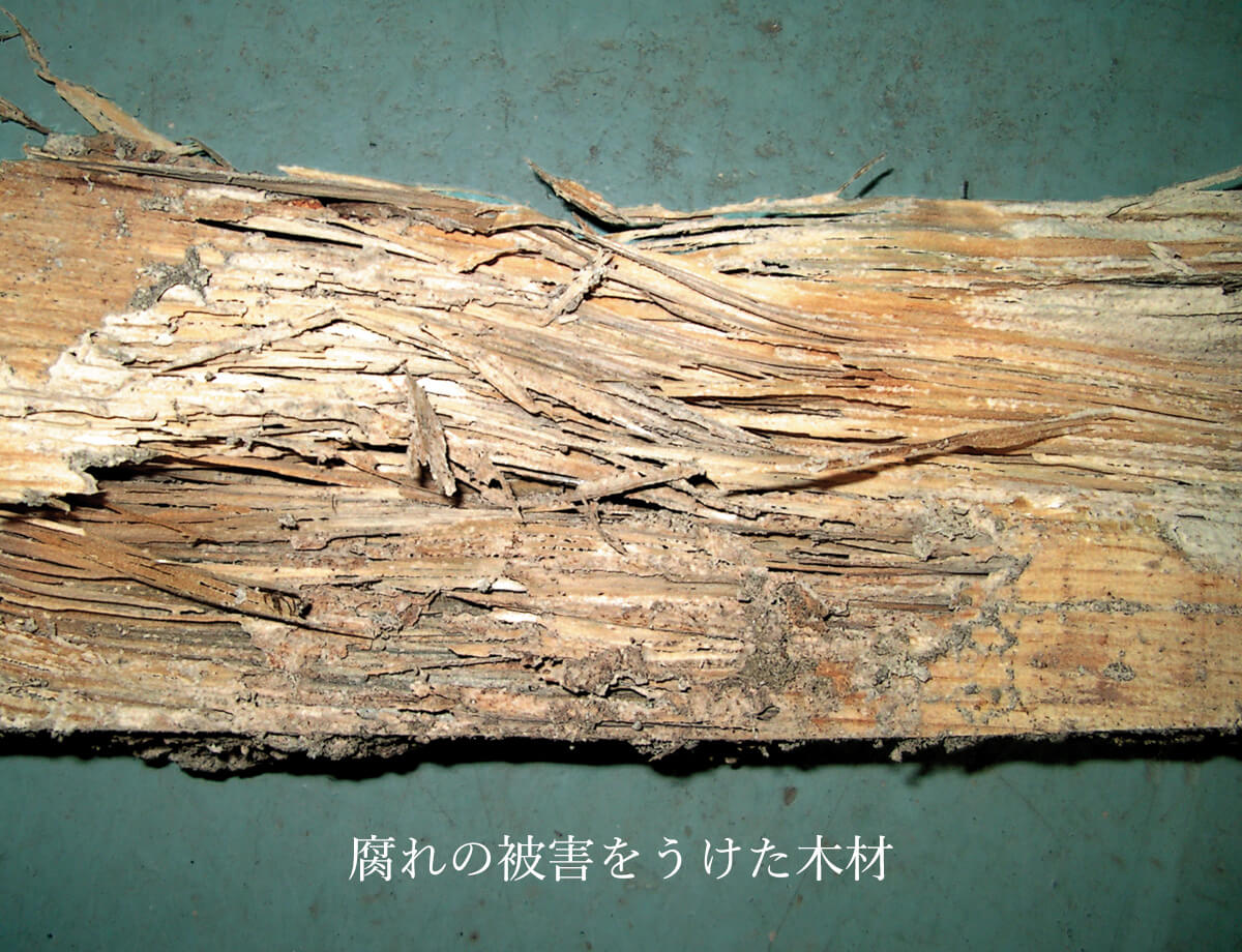 腐れの被害を受けた木材