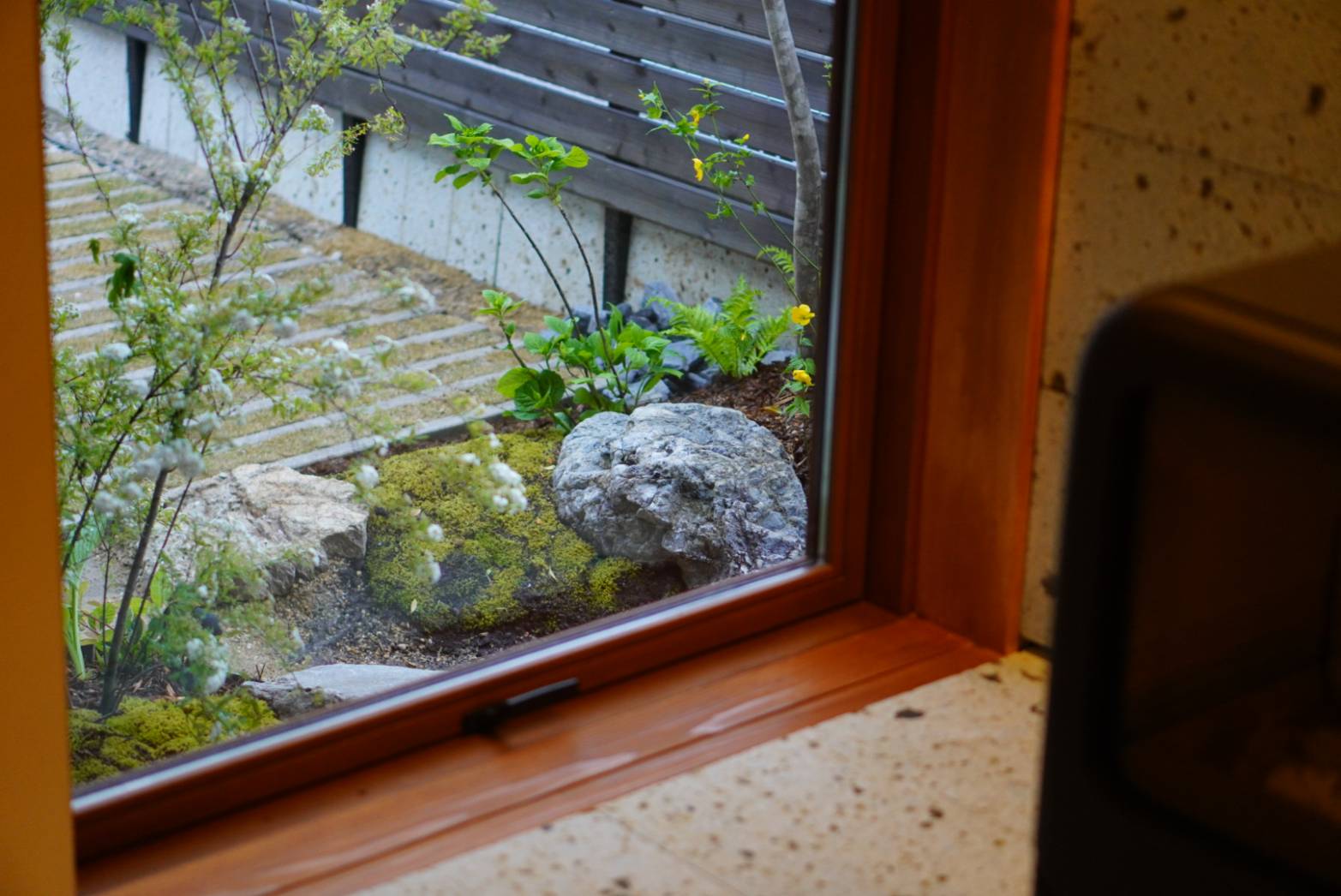 View through a wooden-framed window onto a small garden with moss, rocks and green plants outside.