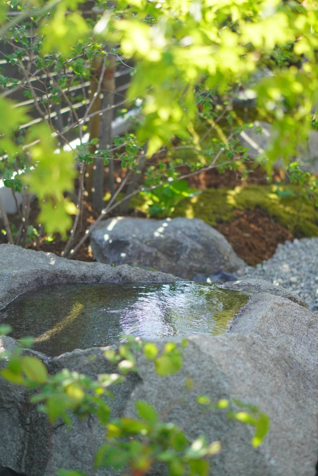 Stone rock basin with a small pool of water, surrounded by green foliage in a tranquil garden.
