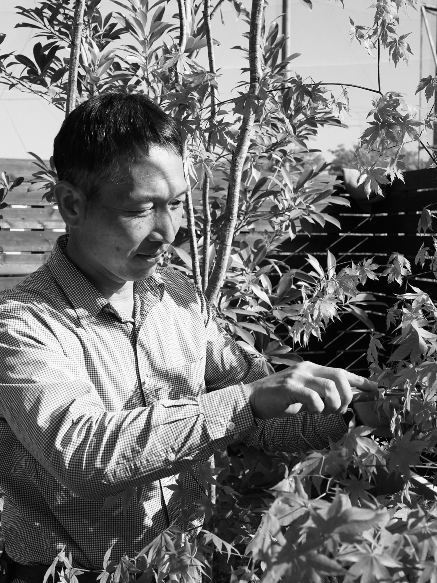 Man in a checkered shirt pruning plants in a backyard garden, focusing on a small tool in his hands.