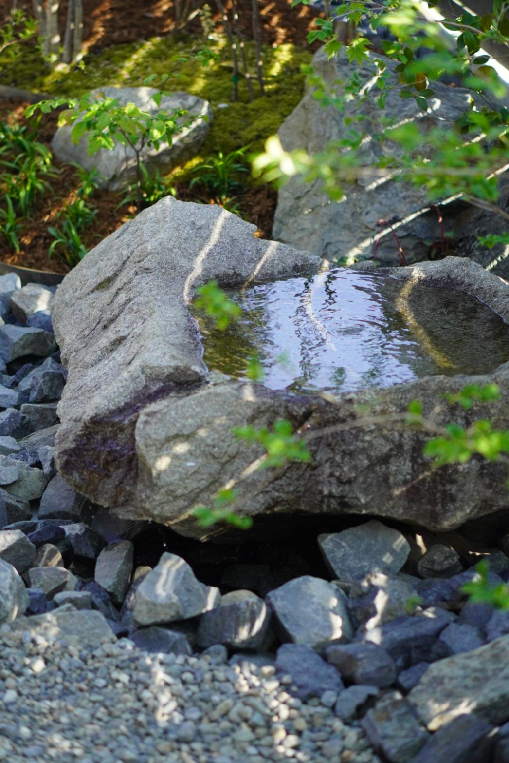 Gray rock with a shallow reflective pool on its top, surrounded by gravel and greenery in a garden setting.